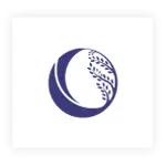 Clear Mind Clinic