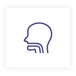 Ear, Nose and Throat