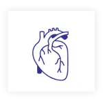 Cardiology & Vascular Center