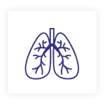 Respiratory and Allergy Unit
