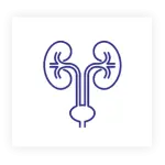 Urology & Andrology Center
