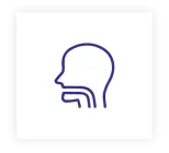 Ear, Nose and Throat
