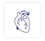Cardiology & Vascular Center