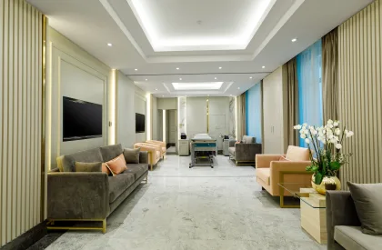Reception Area Bed 500
